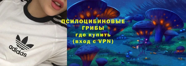 дживик Надым