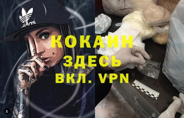 дживик Надым