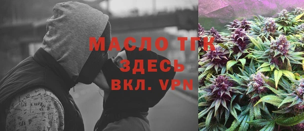 дживик Надым