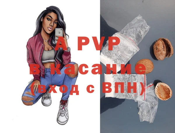дживик Надым