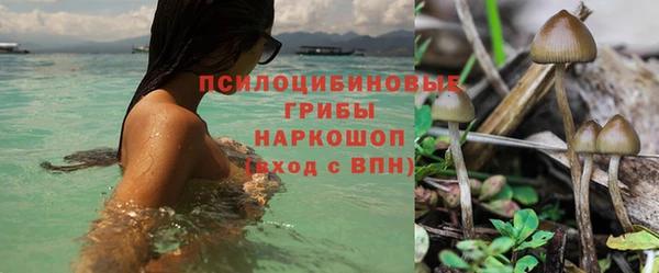 MDMA Premium VHQ Михайловка