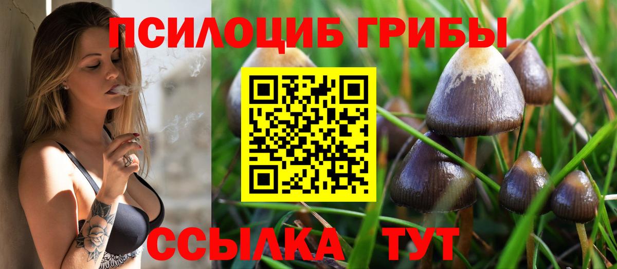 Ногинск  Галлюциногенные грибы Cubensis  Вход с VPN 